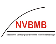 nvbmb-187-149_1.jpg